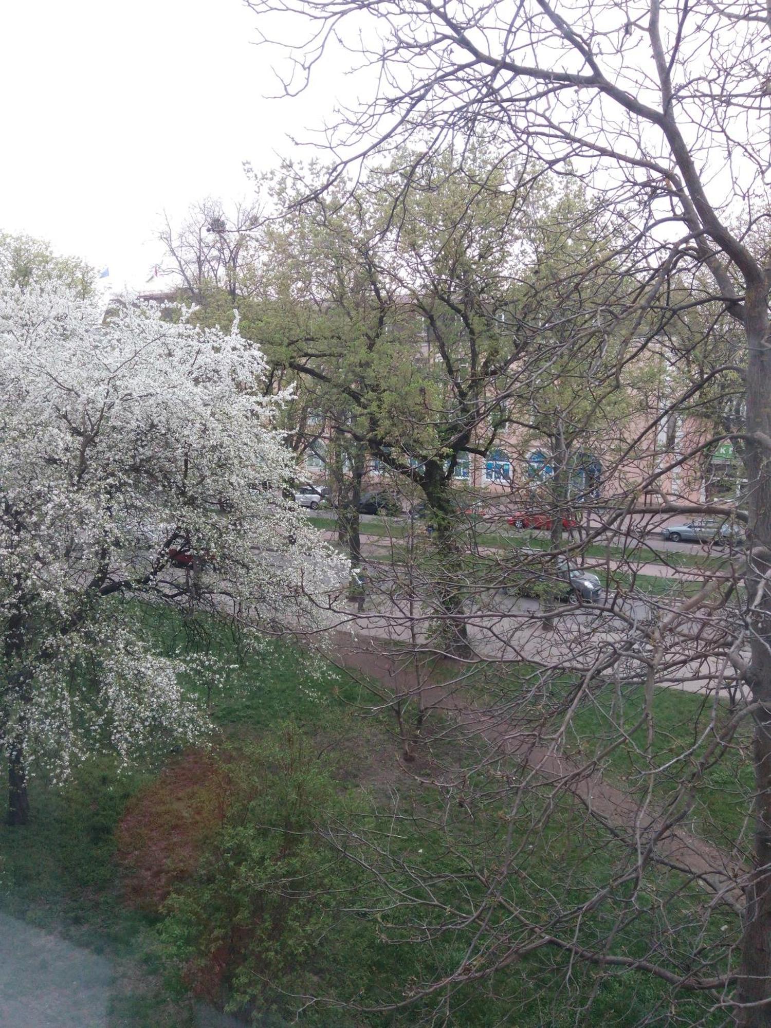 Квартира Студія В Центрі Міста Філармонія Khmelʼnytsʼkyy Buitenkant foto